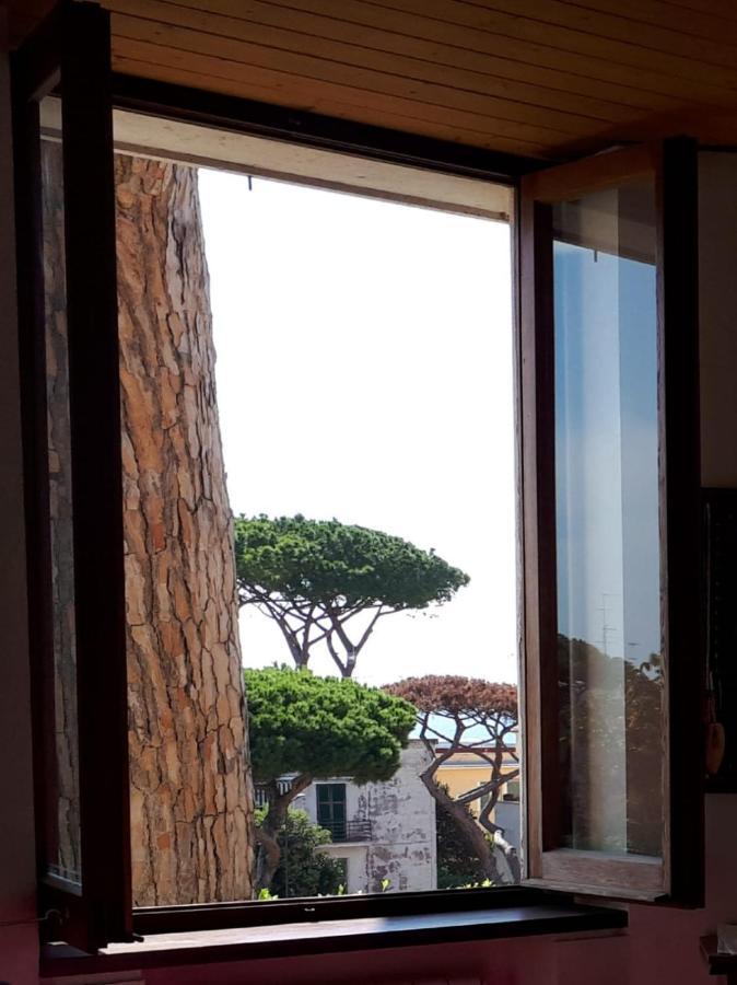 Bed & Breakfast Buba Superior Anzio